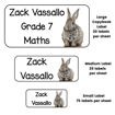 Picture of Labels for Boys