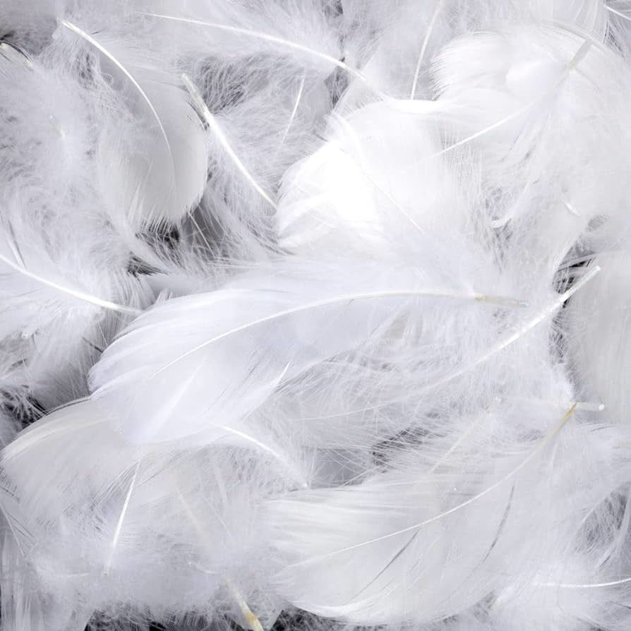 White Feathers