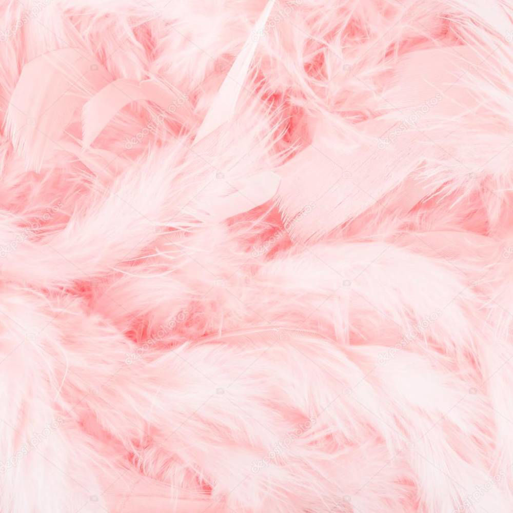 Light Pink Feathers
